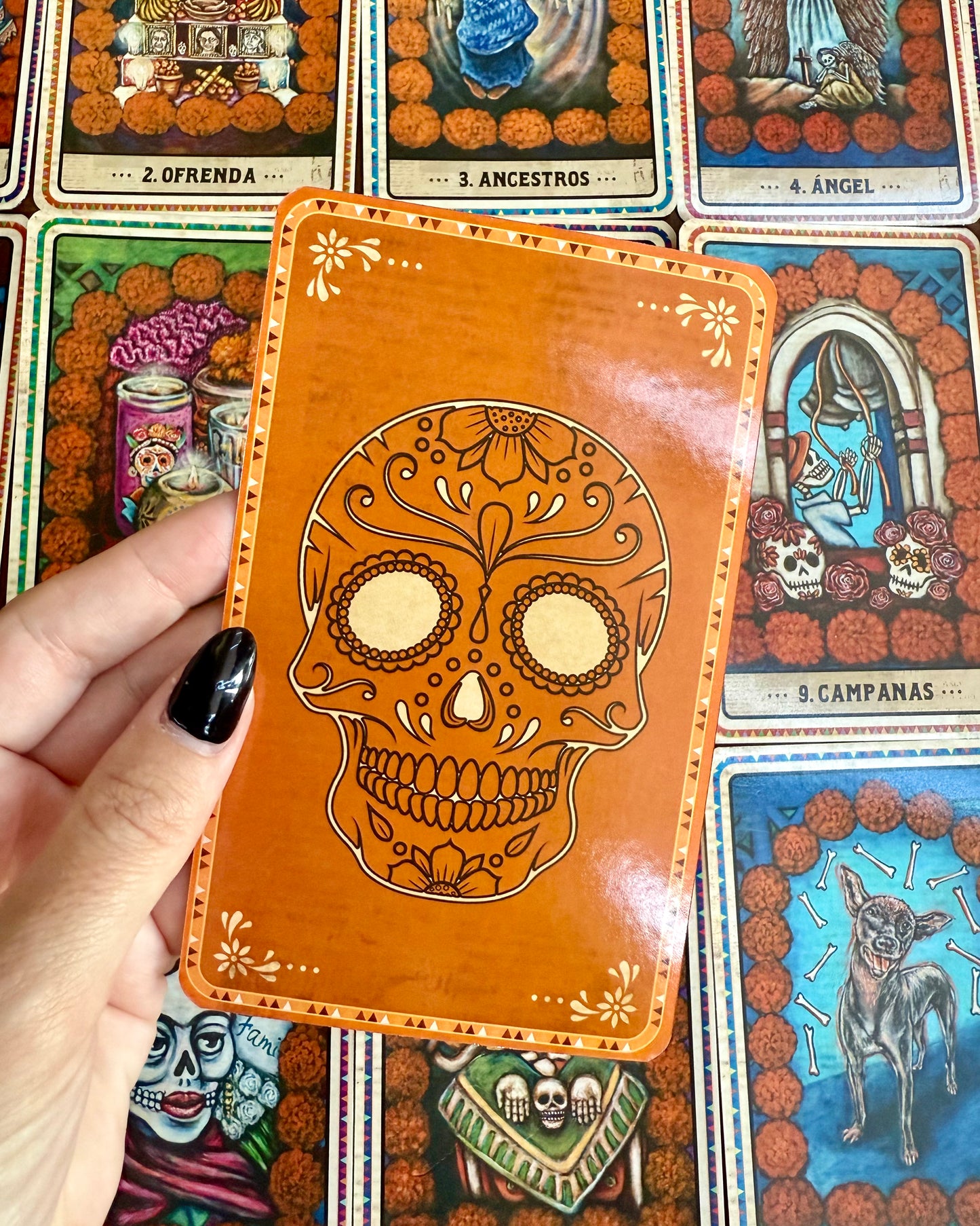 El Oráculo del Día de los Muertos | Sabiduría del amado difunto.