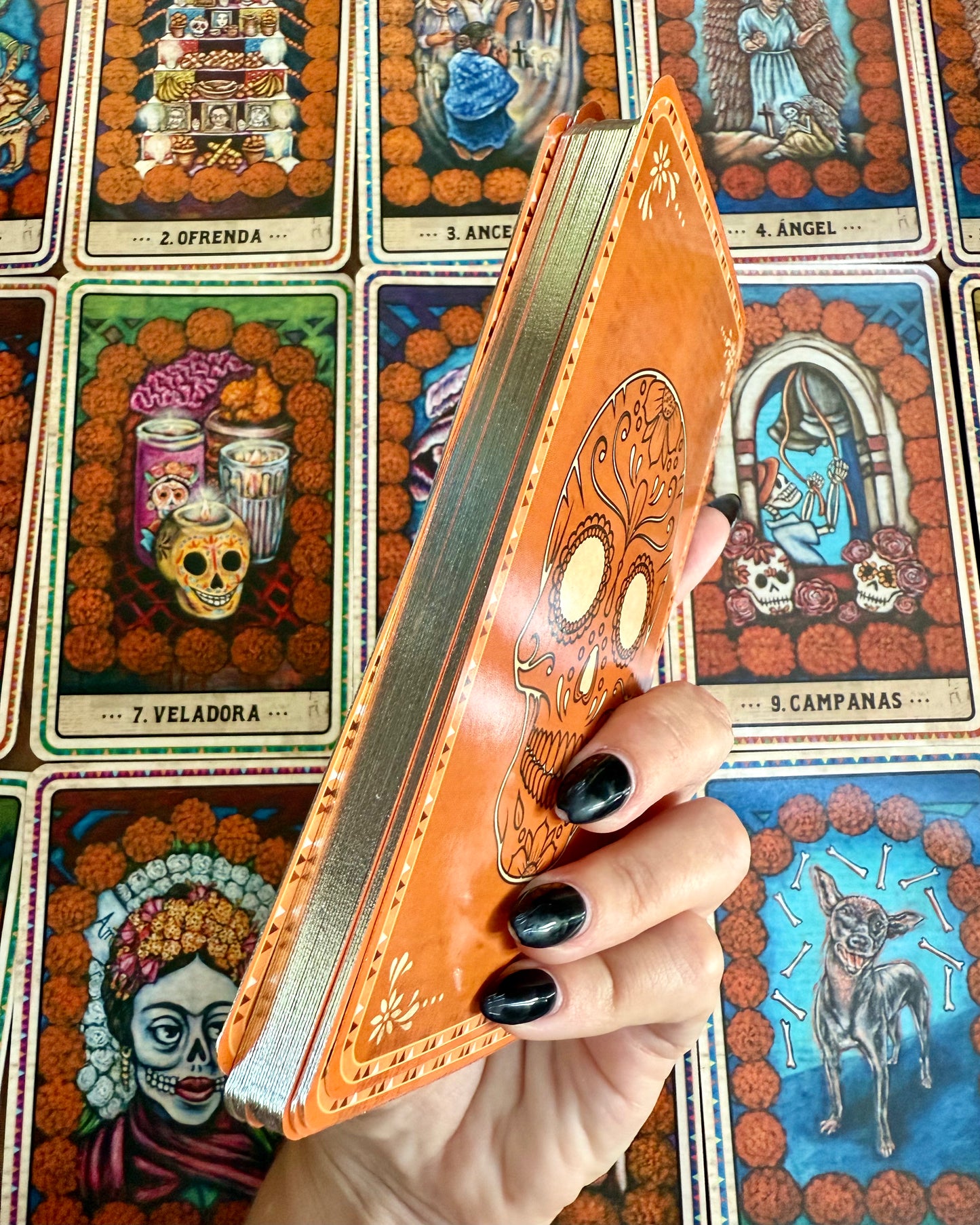 El Oráculo del Día de los Muertos | Sabiduría del amado difunto.