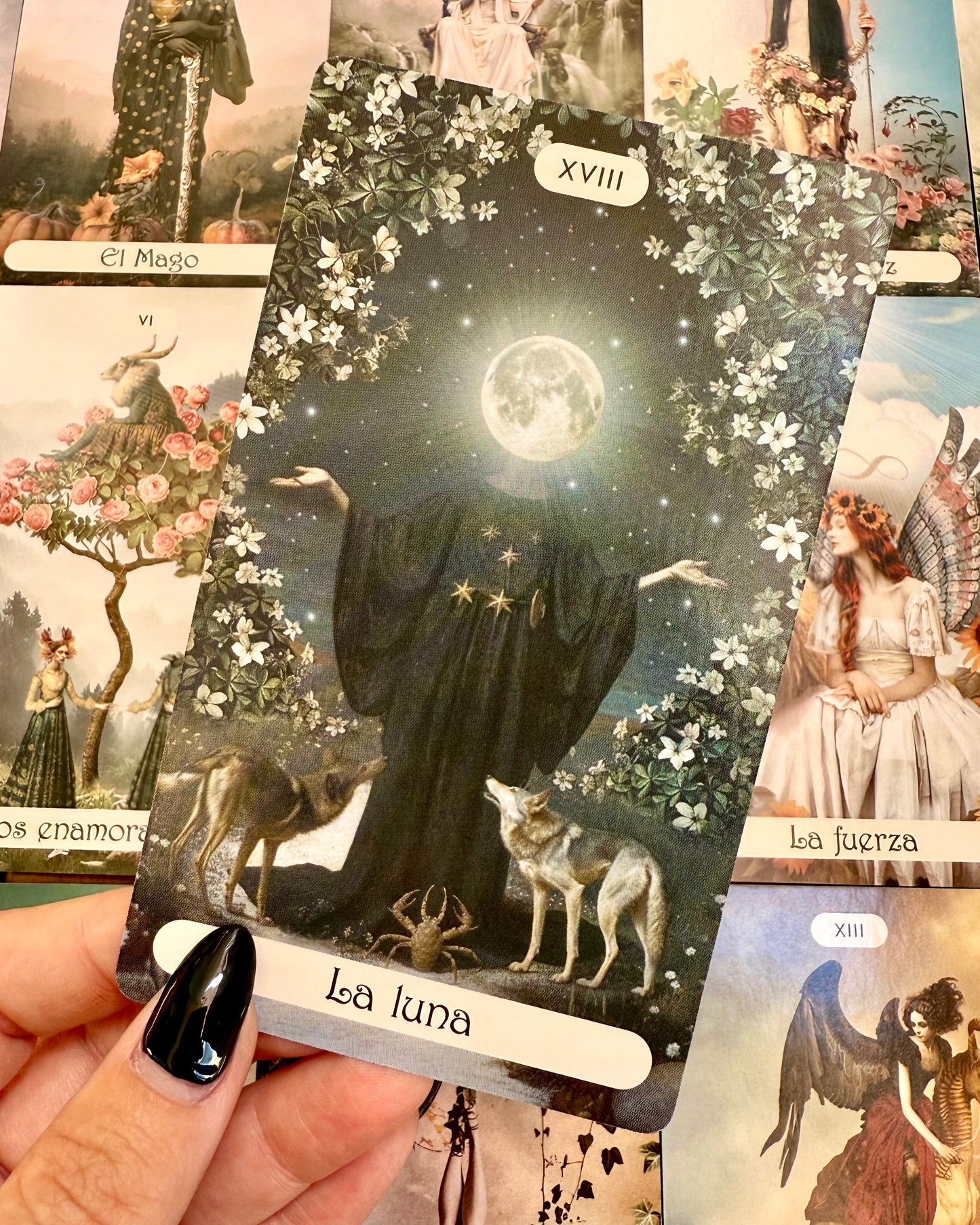 Tarot del Bosque Oculto.