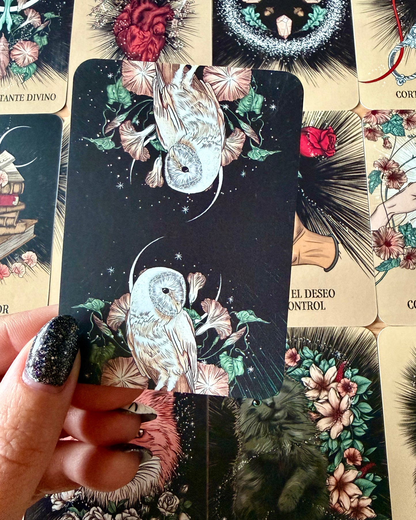 Predestinados | El oráculo del amor.