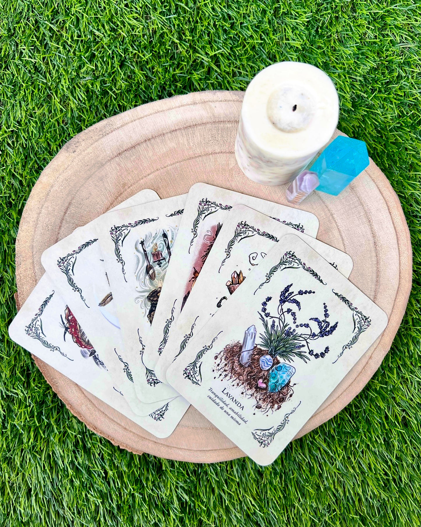 La Bruja Verde | El Oráculo