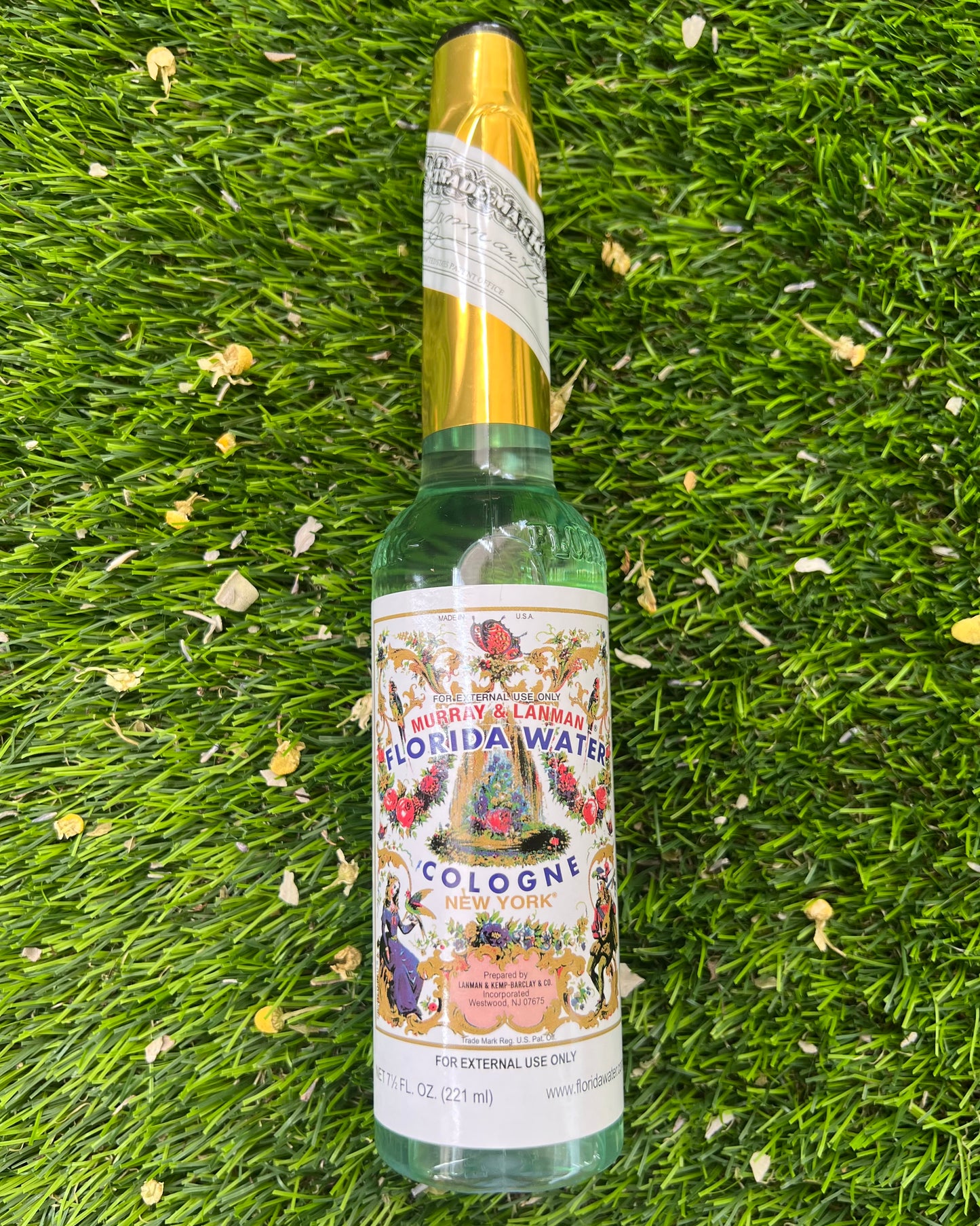 Colonia Agua de Florida