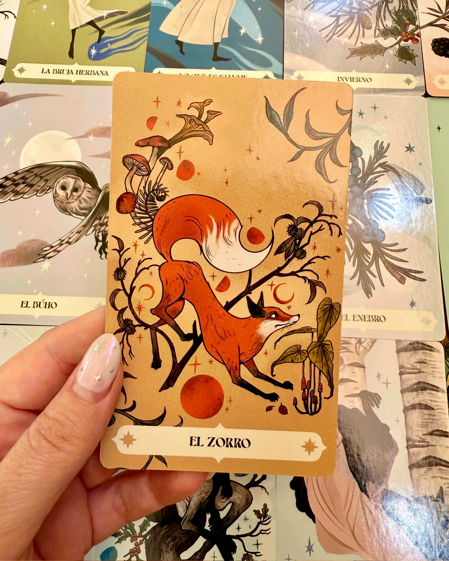 Herbana | Oráculo de la bruja.