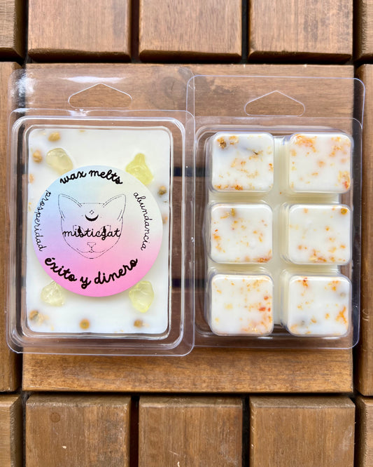 Wax Melts Éxito y Dinero