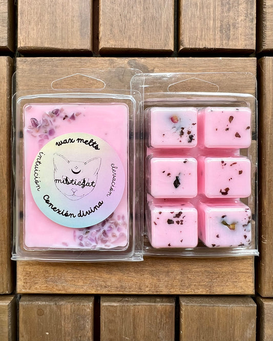 Wax Melts Conexión Divina