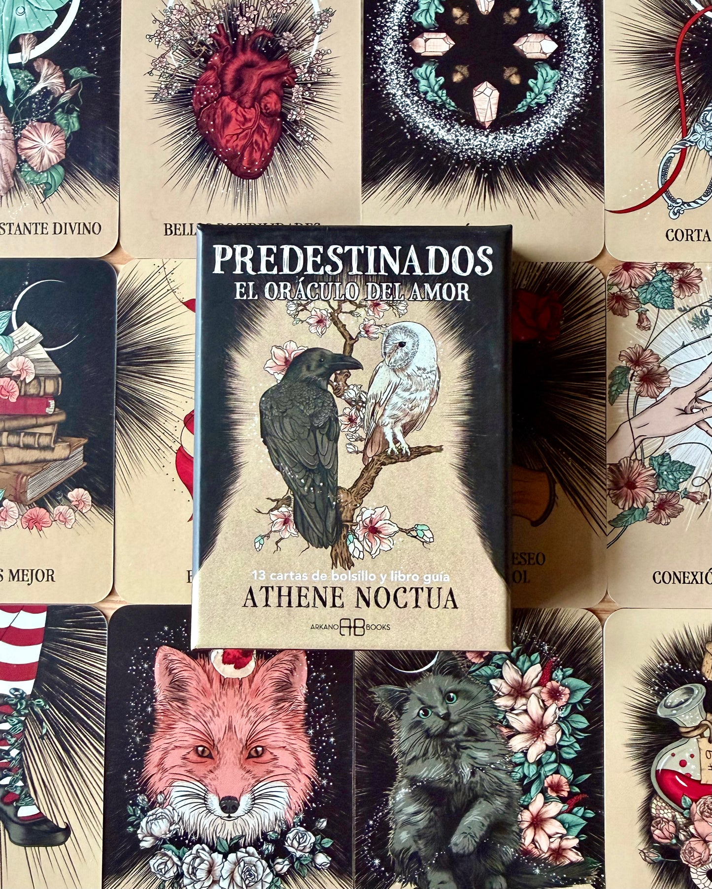 Predestinados | El oráculo del amor.