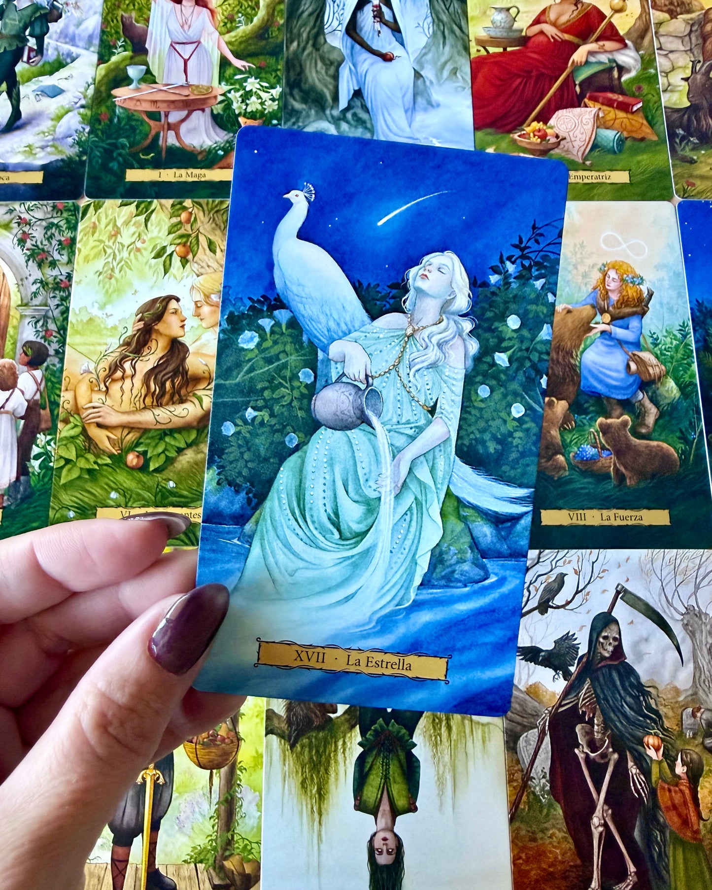 El tarot del Jardín de la Bruja.