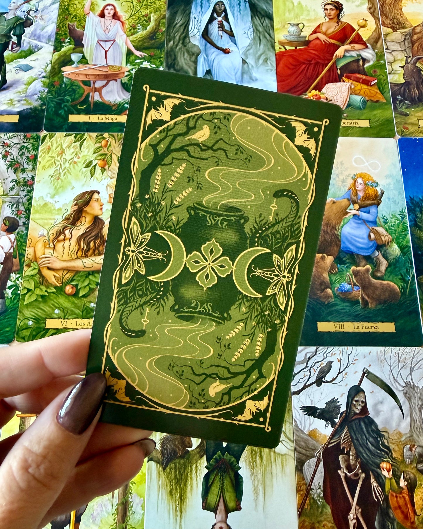 El tarot del Jardín de la Bruja.