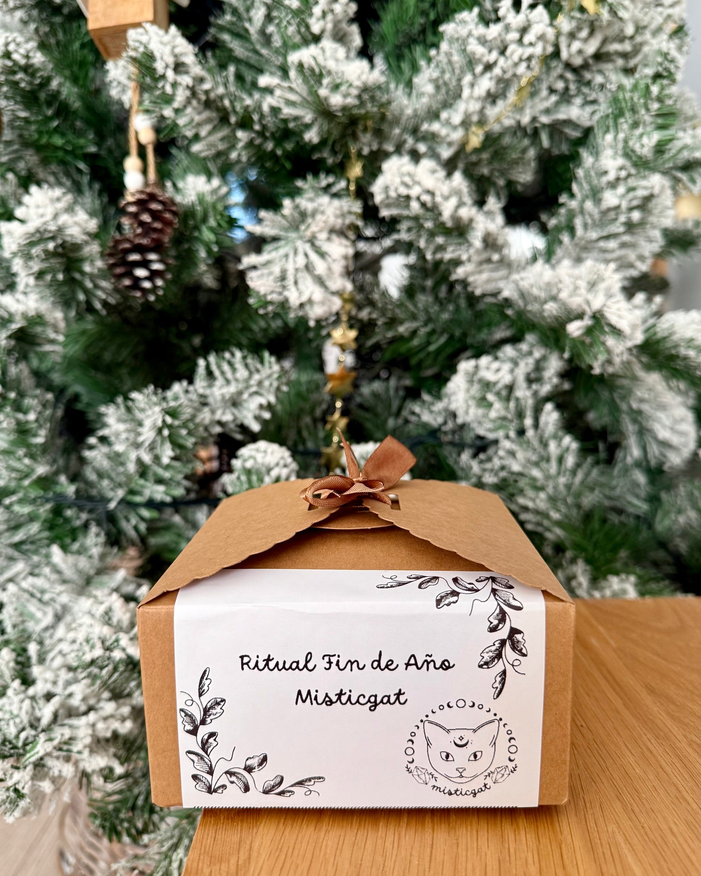 Ritual de Fin de Año “Portal 2026” | Cierre, limpieza y manifestación.