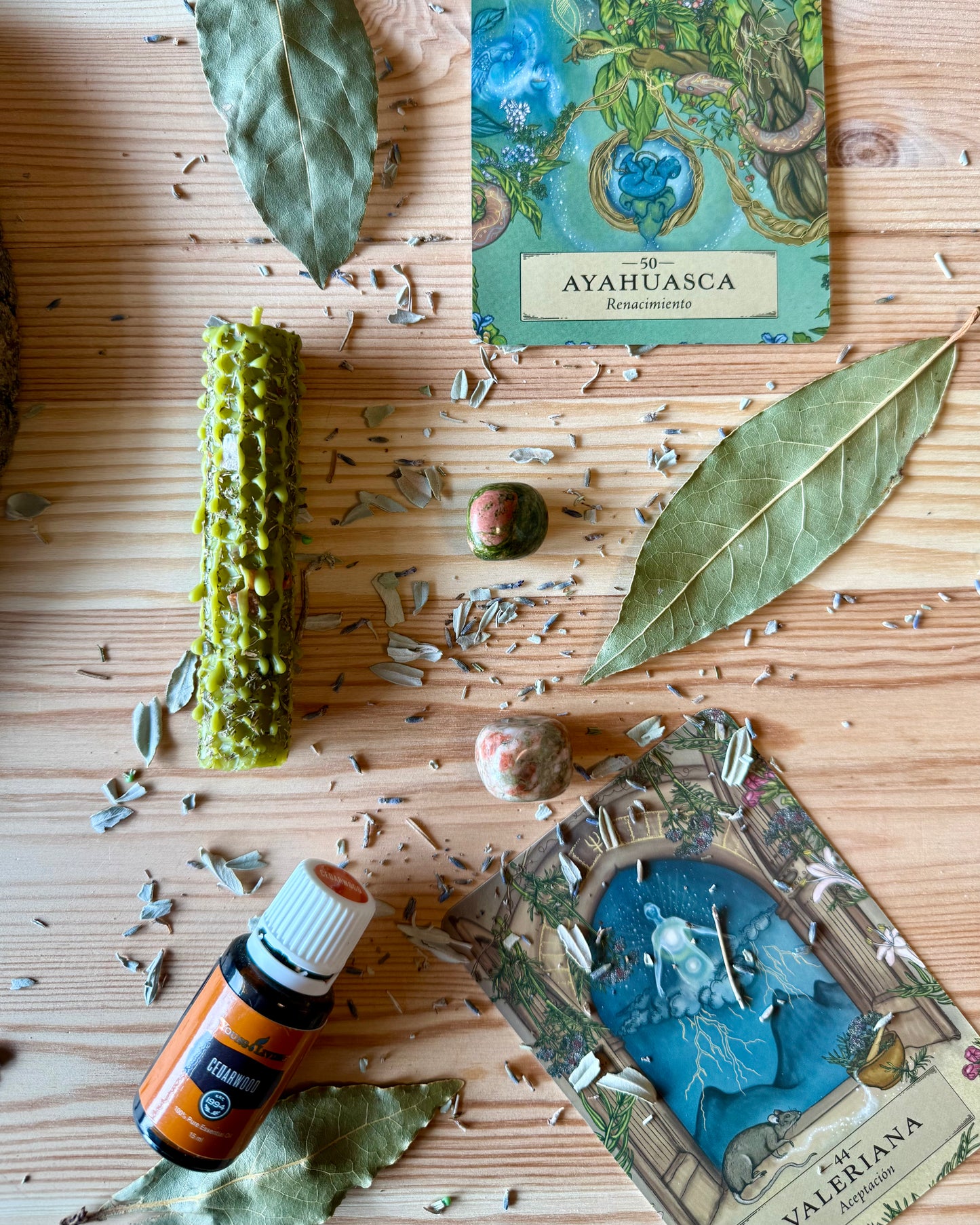 Vela Alquímica Oliva | Alquimia de la Raíz Viva.